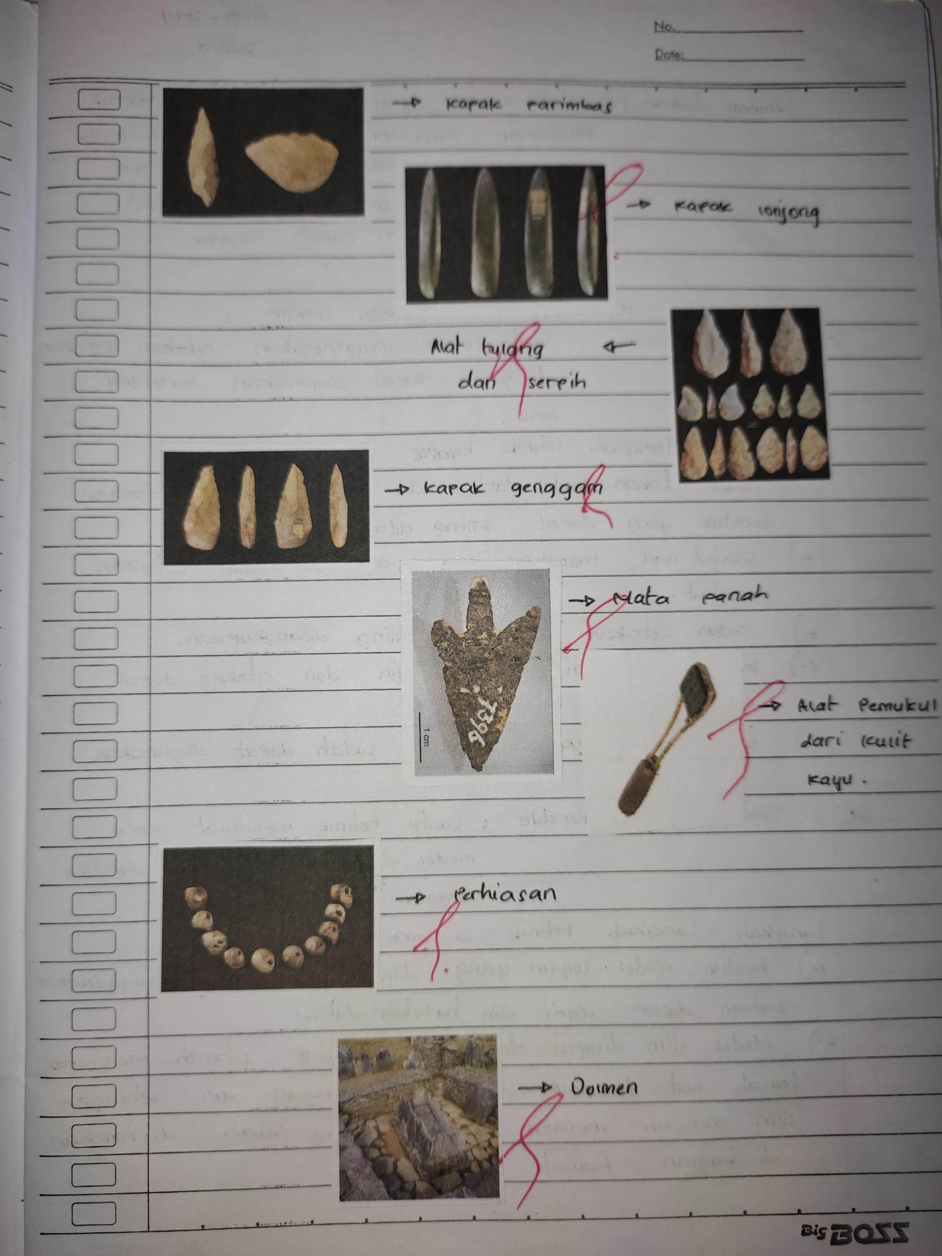 Underwater ocean coral